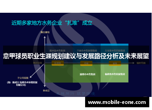 意甲球员职业生涯规划建议与发展路径分析及未来展望