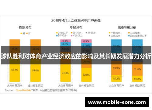 球队胜利对体育产业经济效应的影响及其长期发展潜力分析
