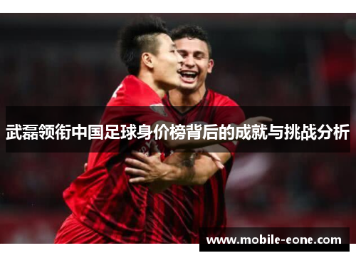 武磊领衔中国足球身价榜背后的成就与挑战分析