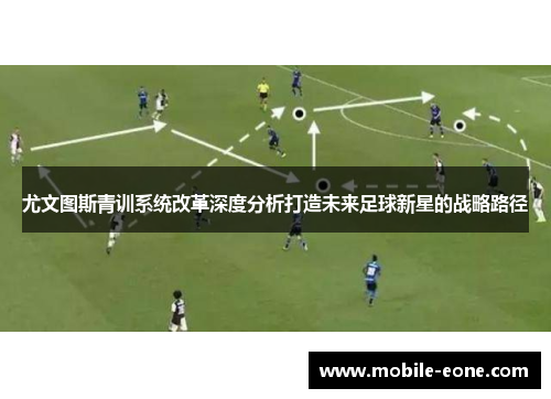 尤文图斯青训系统改革深度分析打造未来足球新星的战略路径