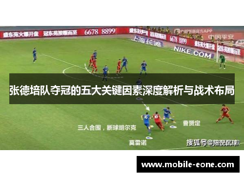 张德培队夺冠的五大关键因素深度解析与战术布局