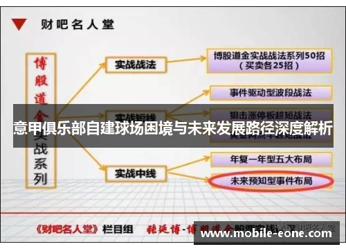 意甲俱乐部自建球场困境与未来发展路径深度解析