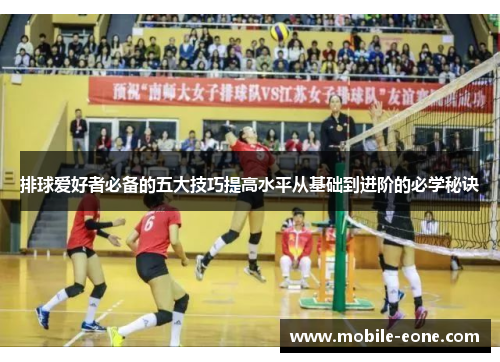 排球爱好者必备的五大技巧提高水平从基础到进阶的必学秘诀